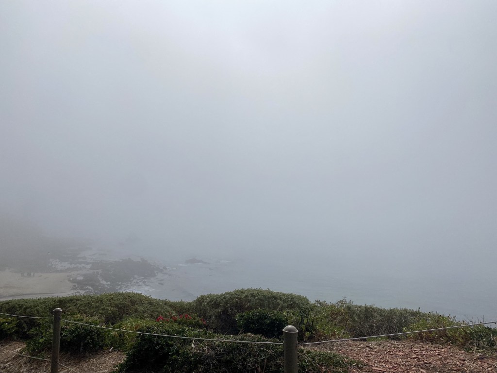 foggy, marine layer, tide pools in fog, southern California, cliff, clouds, low clouds, early morning tide pooling