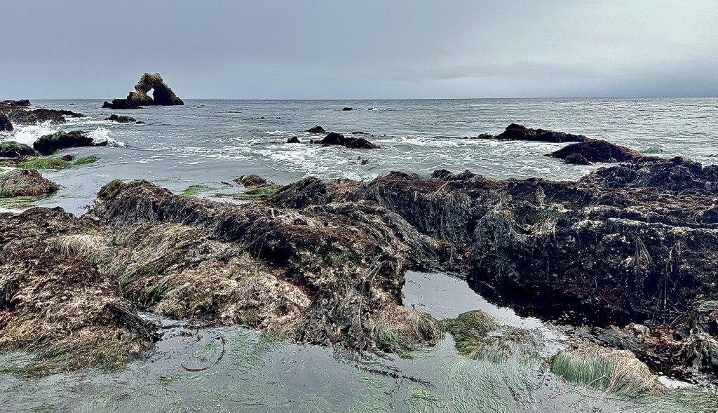 tides, tidal range, why the ocean has tides, the moon, the sun, gravity