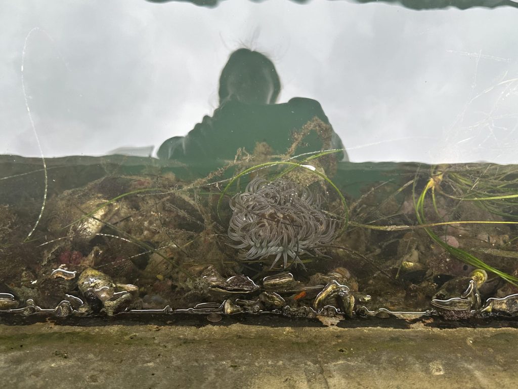 Is Dock Fouling Worth&nbsp;It?