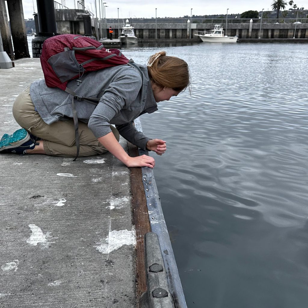 Dock Fouling 101: What Is It and Why Would I Do&nbsp;It?
