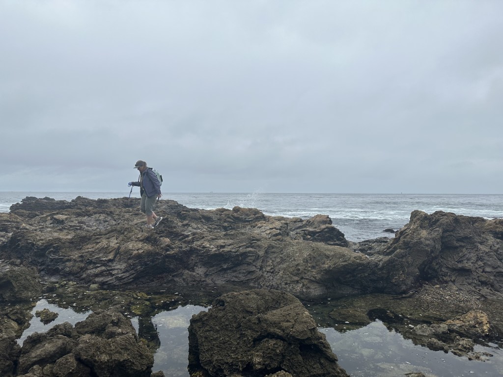 The Beginner’s Guide To Tide Pooling&nbsp;Etiquette