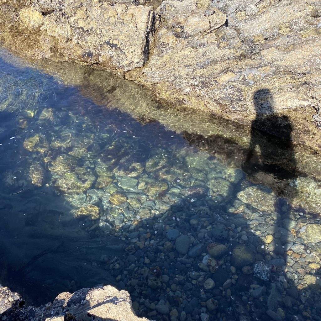 Tide Pooling Safety&nbsp;101