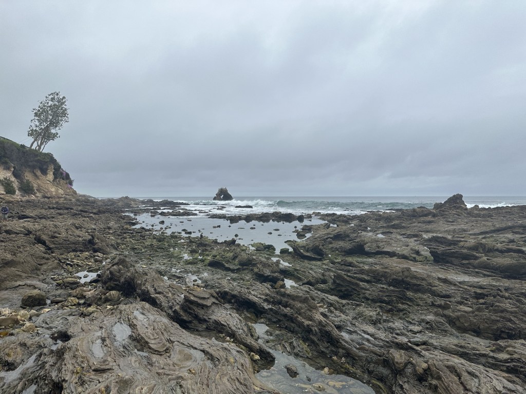 be aware, be safe at the tide pools tide pooling safety, corona del mar, southern California, tide pooling safety.