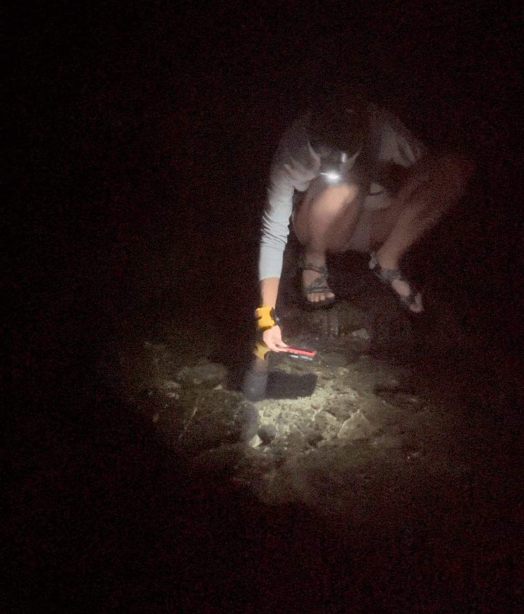 Is Tide Pooling at Night Worth It?