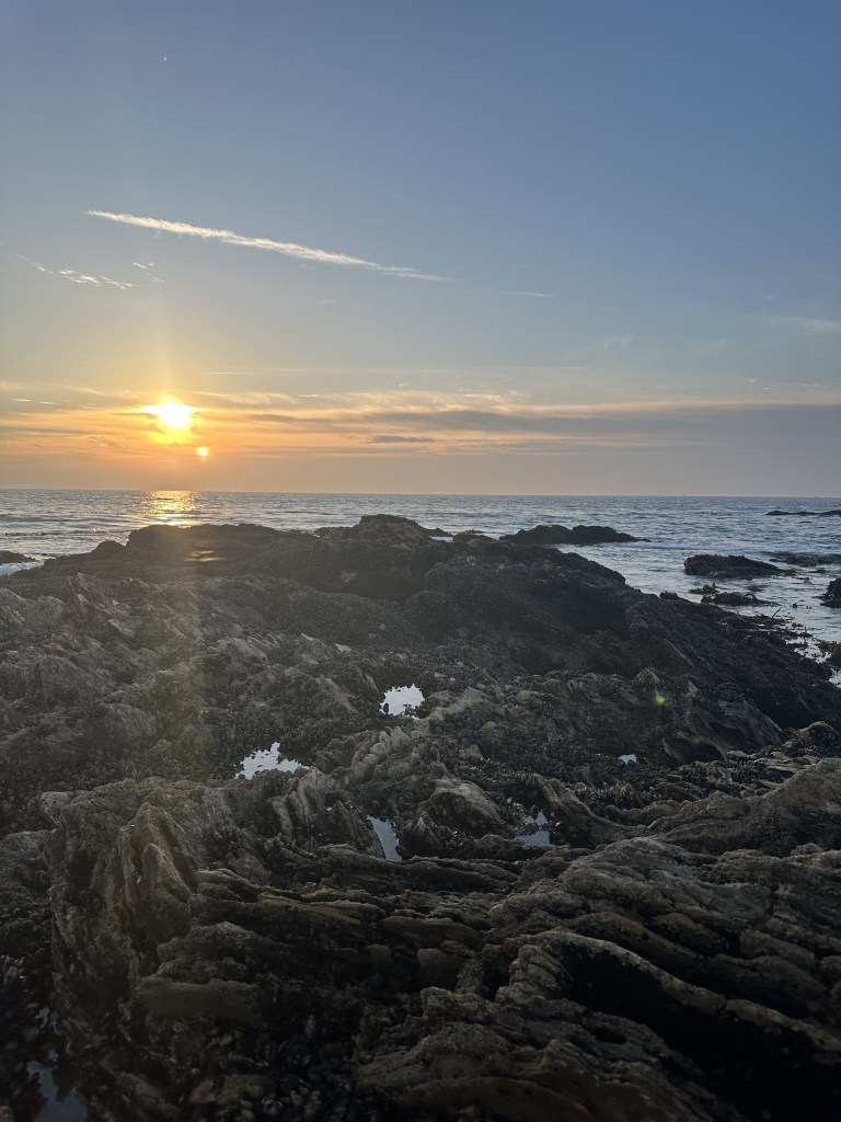 tide pooling, when to go tide pooling, california king tides, best low tides, winter low tides