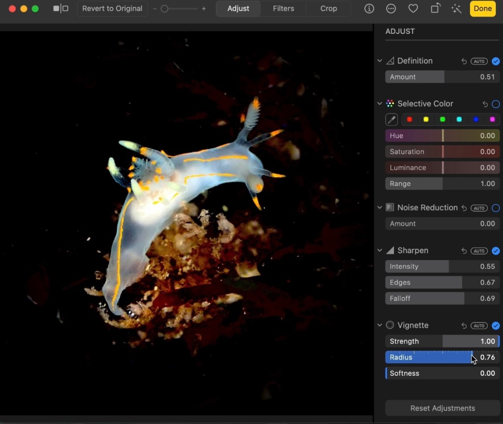 intertidal photography, macro photography, blackwater photographer, nudibranchs, nudibranchs in the tide pools, how to edit photos