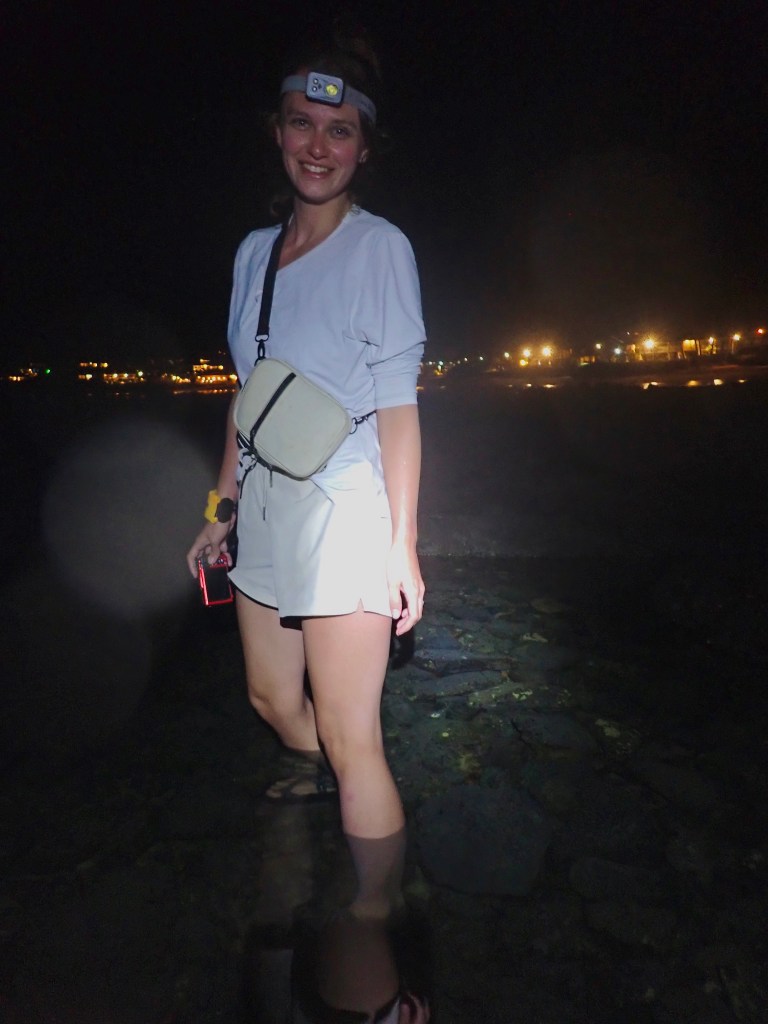 tidepooler, Tide pooling in Hawaii, tide pooling at night, intertidal life, hawaii marine life,