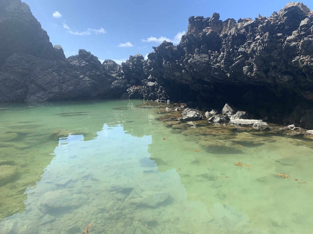 St Croix, Swimming in the tide pools, large tide pools, Can I swim in tide pools? Intertidal zone, Swimming, tide pooling