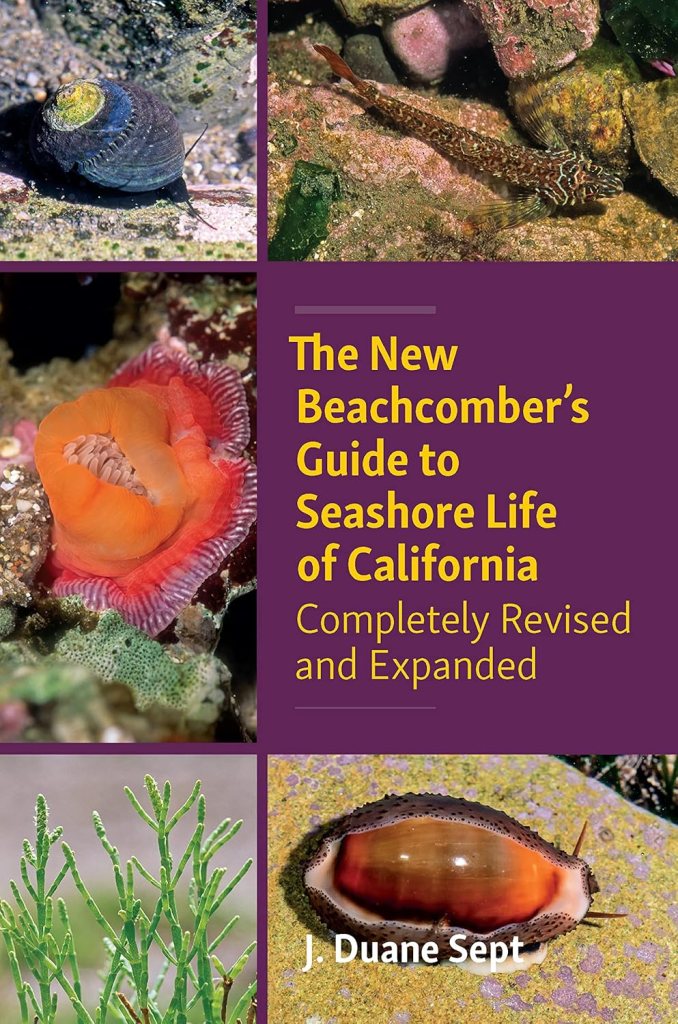 The new beachcomber's guide to Seashore life of California, J. Duane Sept, book reviews, tide pooling, reviews, tidepooling books, tide pool life, field guides