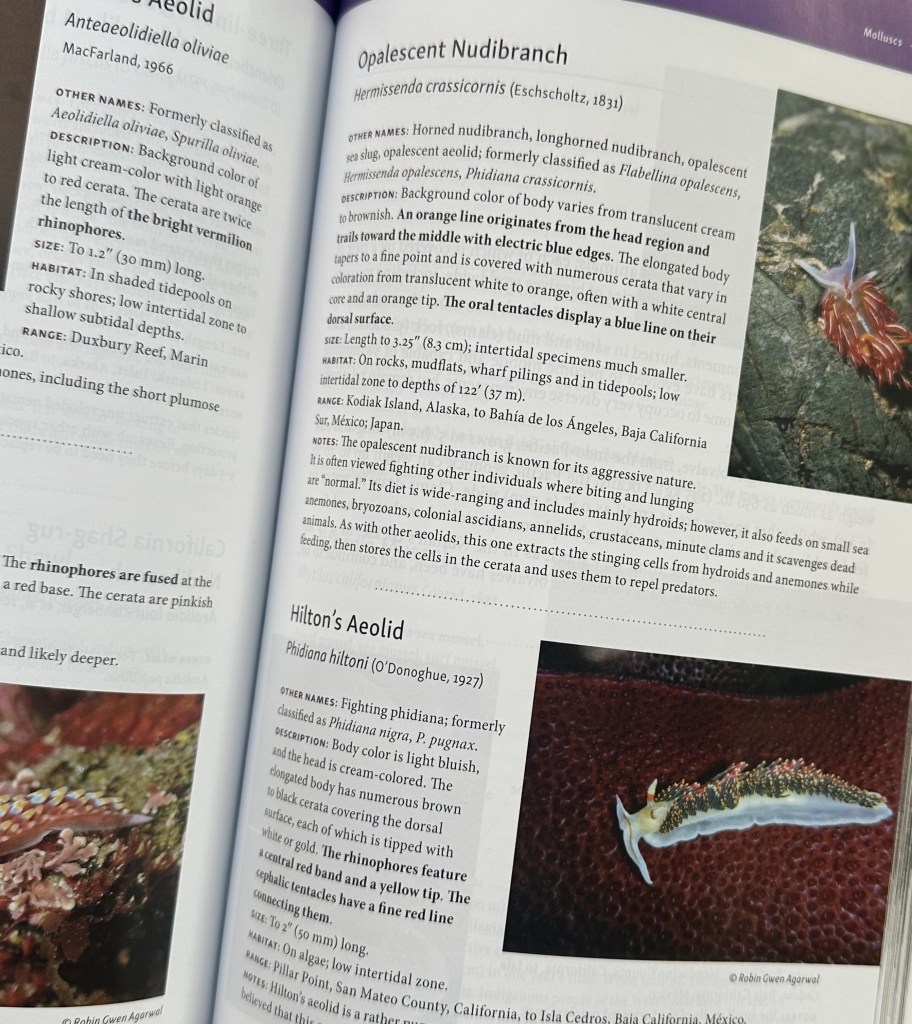 The new beachcomber's guide to Seashore life of California, J. Duane Sept, book reviews, tide pooling, reviews, tidepooling books, tide pool life, field guides