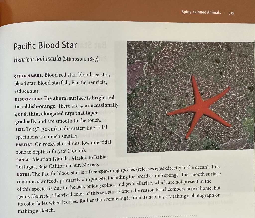 The new beachcomber's guide to Seashore life of California, J. Duane Sept, book reviews, tide pooling, reviews, tidepooling books, tide pool life, field guides