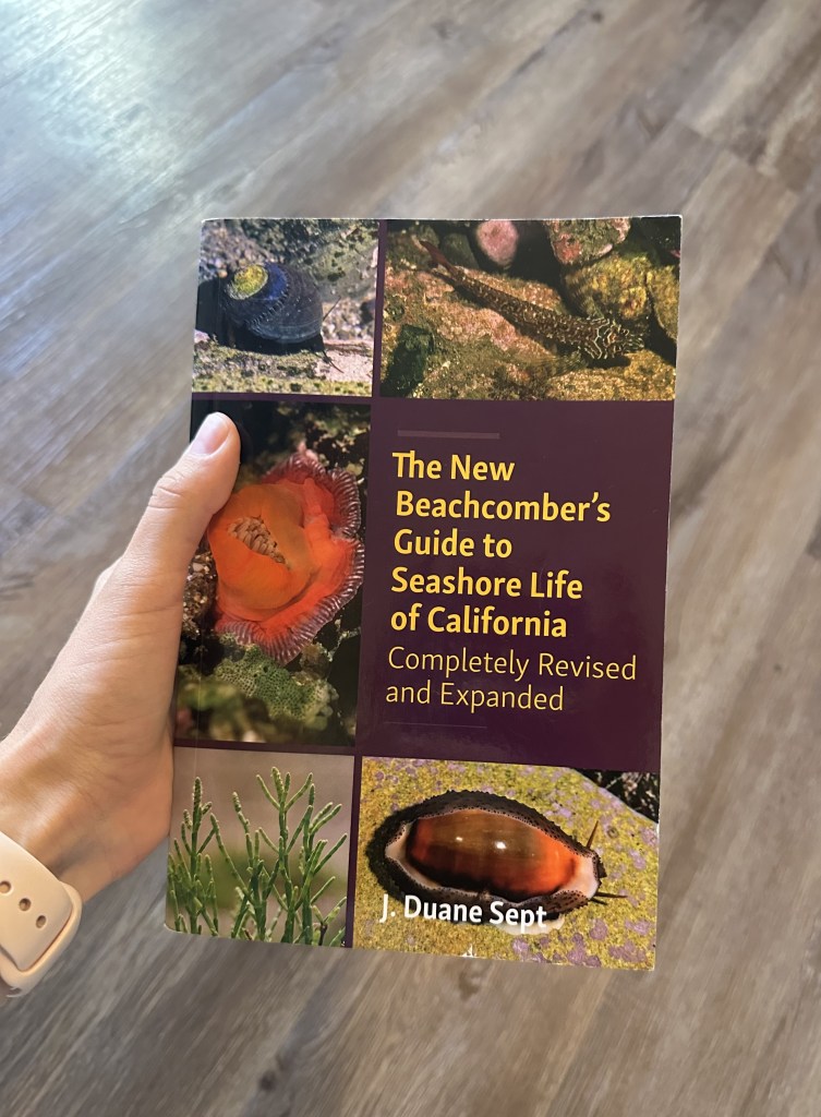 The new beachcomber's guide to Seashore life of California, J. Duane Sept, book reviews, tide pooling, reviews, tidepooling books, tide pool life, field guides