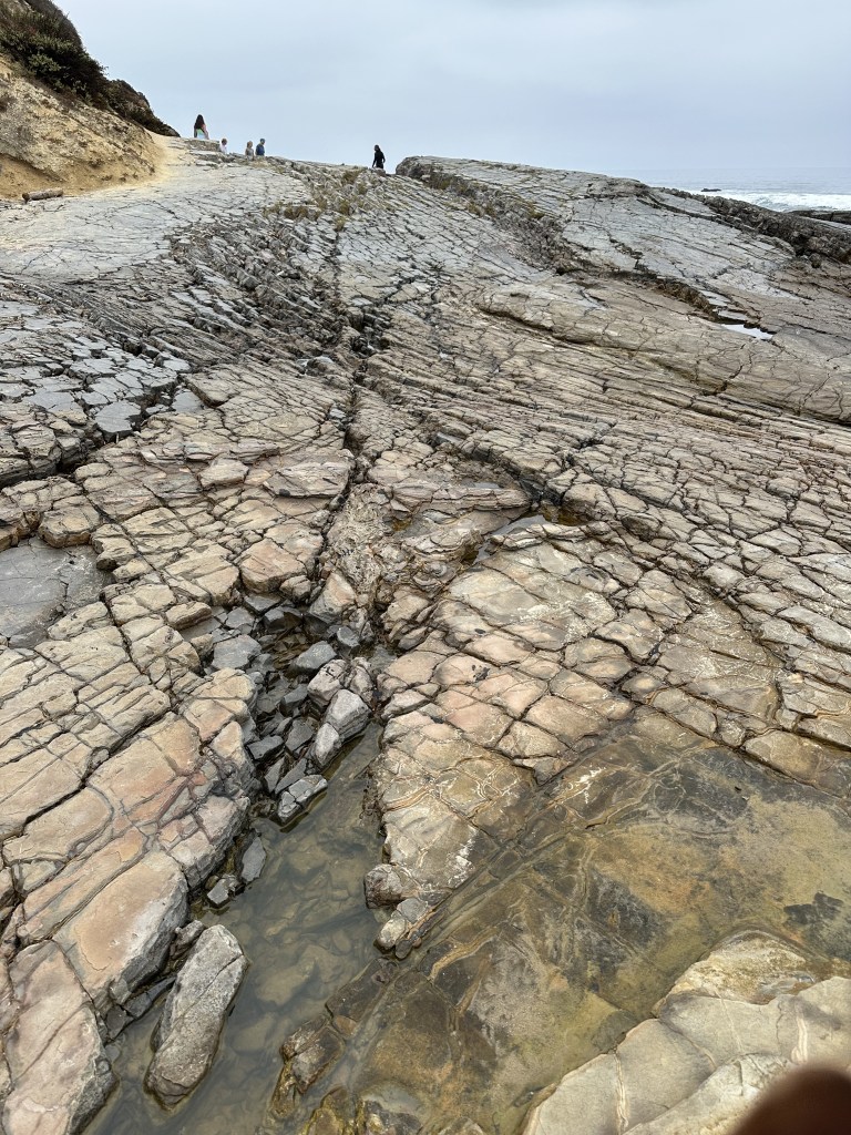 Bedrock, Tide pooling log; socal tide pools, beach walk, nature walk, nature, late summer,