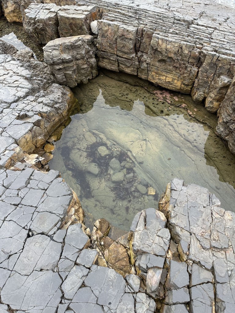 Tide pool, Tide pooling log; socal tide pools, beach walk, nature walk, nature, late summer,