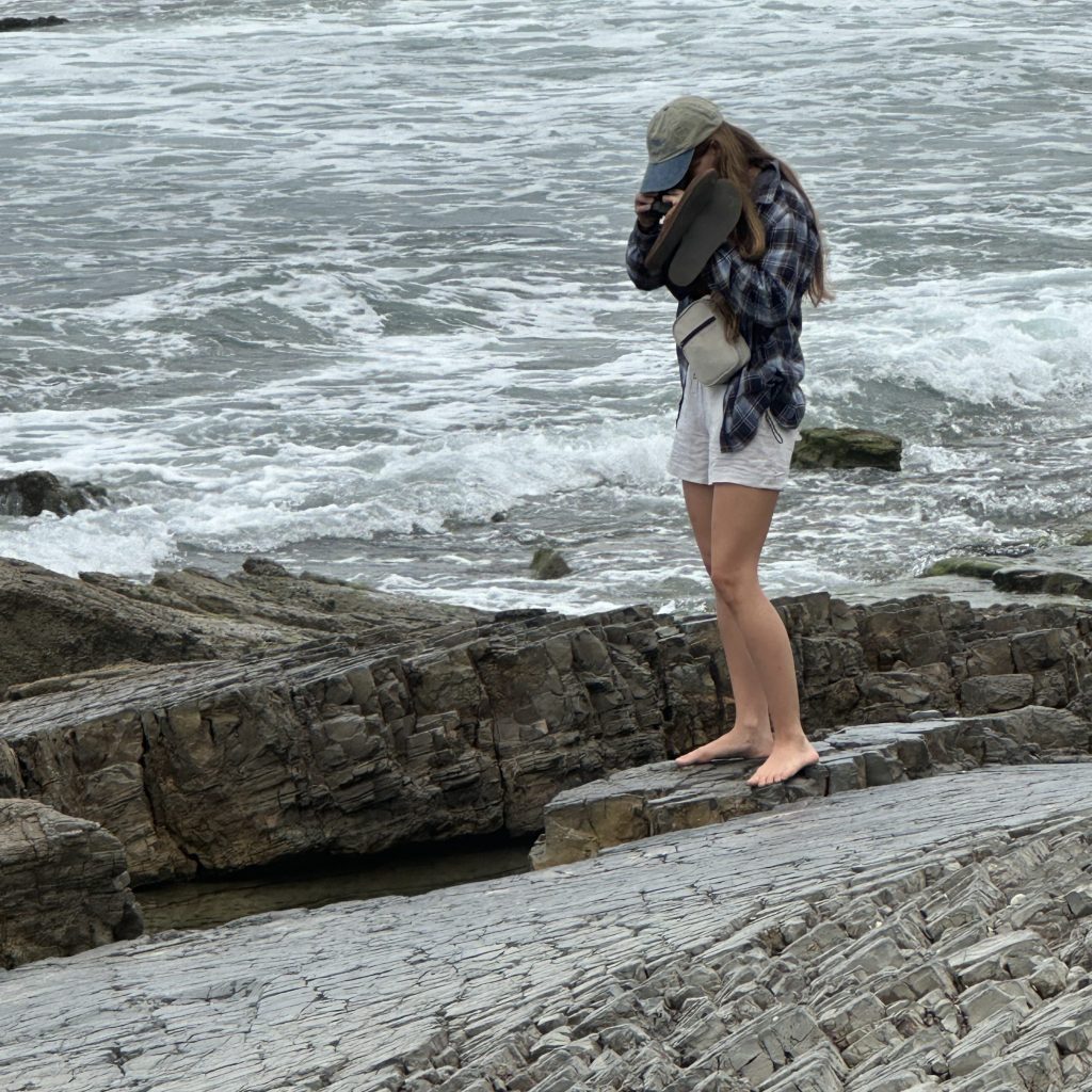 Tide pooling log; socal tide pools, beach walk, nature walk, nature, late summer,
