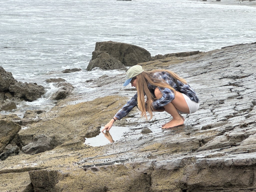 Tide Pooling Log: Birthday Nature Walk along the&nbsp;Beach