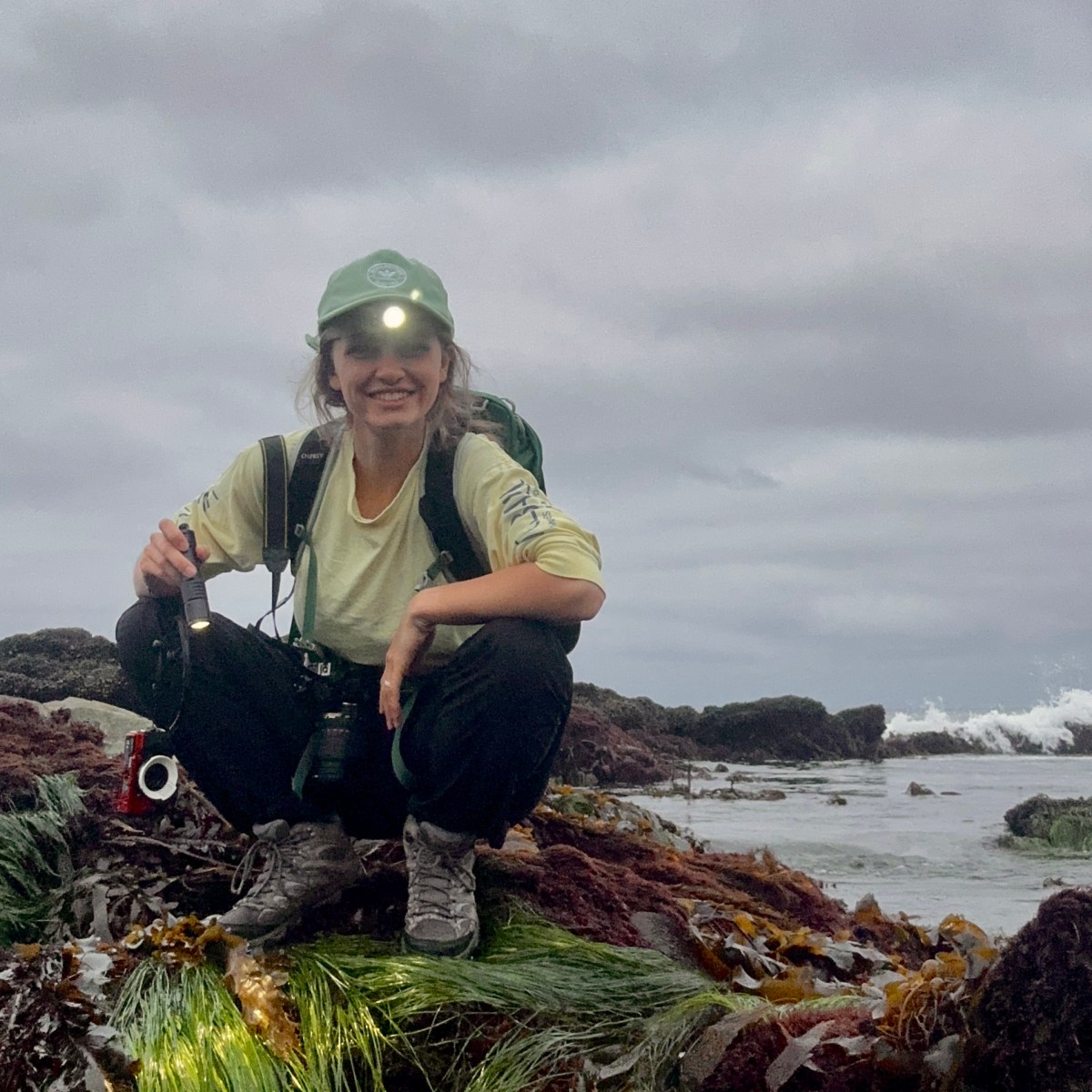 Welcome back and Summer 2025 Tide Pooling&nbsp;Logs