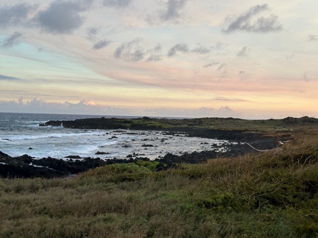 Tide pooling in hawaii, Can I tide pool in Hawaii? intertidal in the tropics, topography in the intertidal, tide pooling, tropics, oceans, pacific, seascape, bay