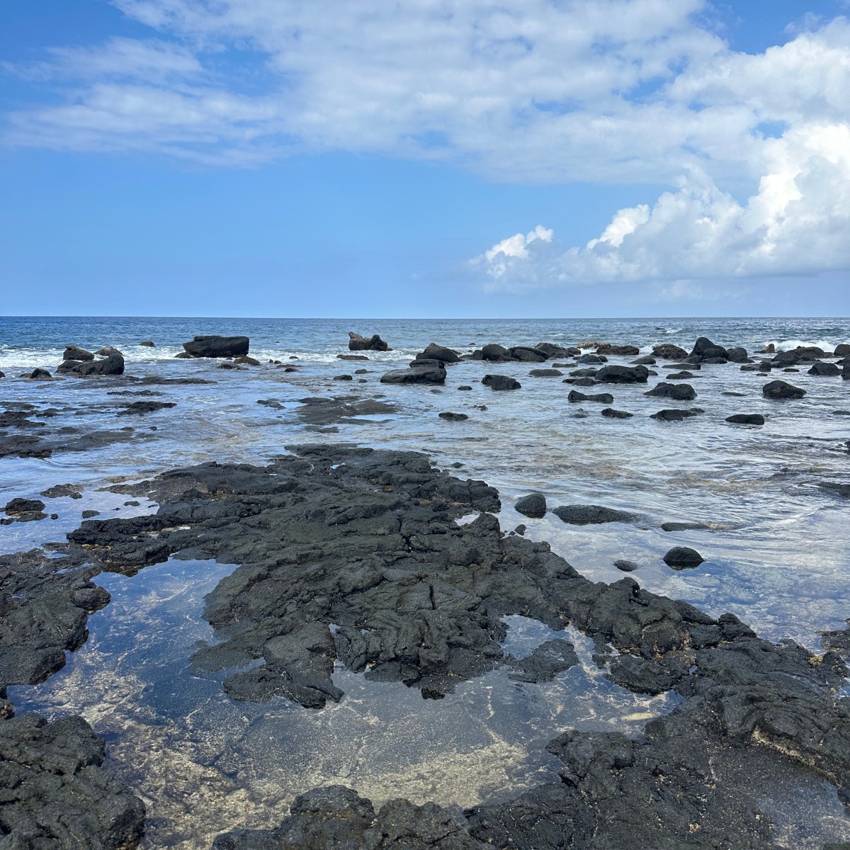 Can you Go Tide Pooling In&nbsp;Hawaii?