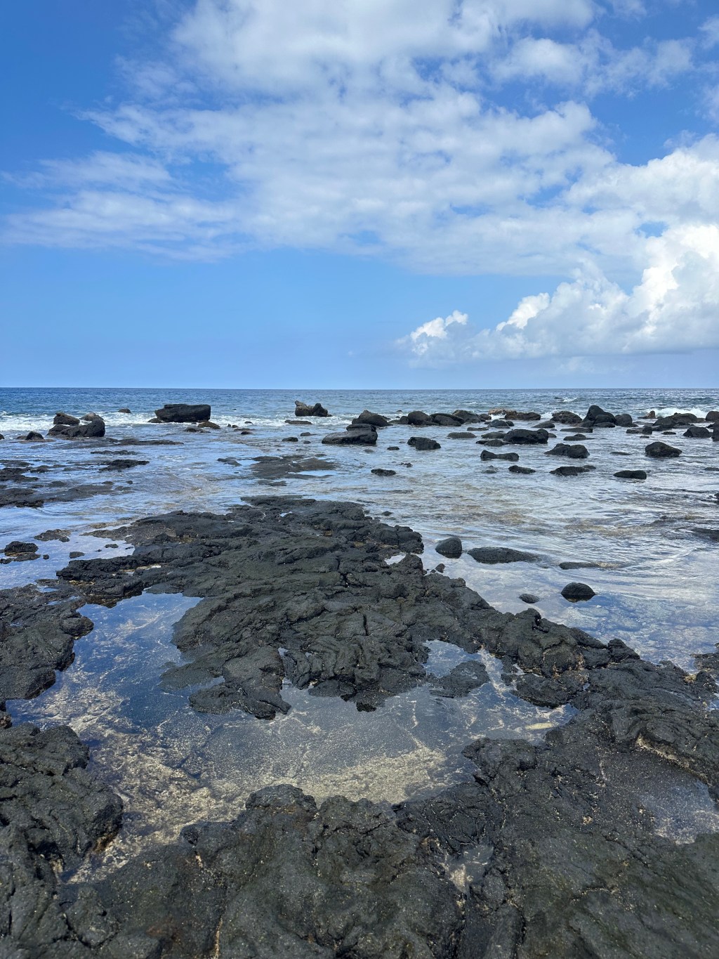 Can you Go Tide Pooling In&nbsp;Hawaii?