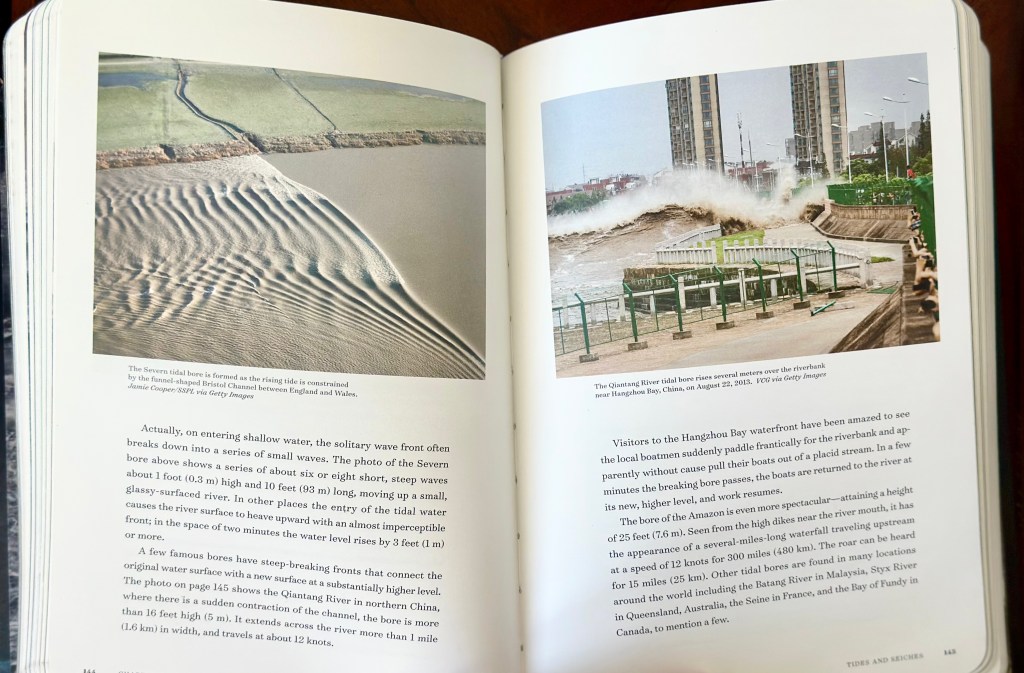 Book review, waves and beach, tide pooling books, reivews, ocean books, nature books